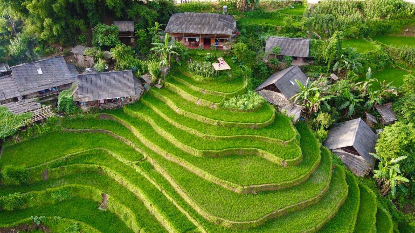 My'S Homestay Sapa Exterior foto