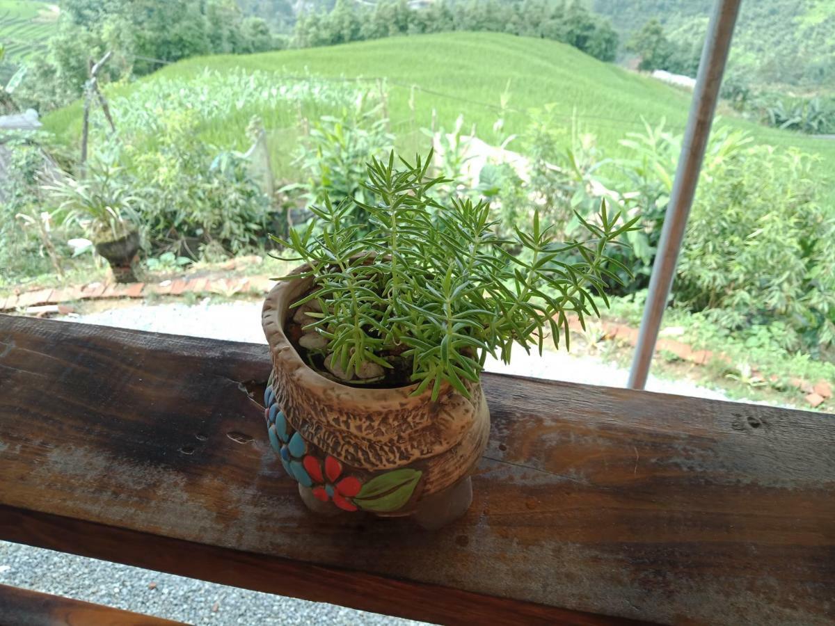 My'S Homestay Sapa Exterior foto