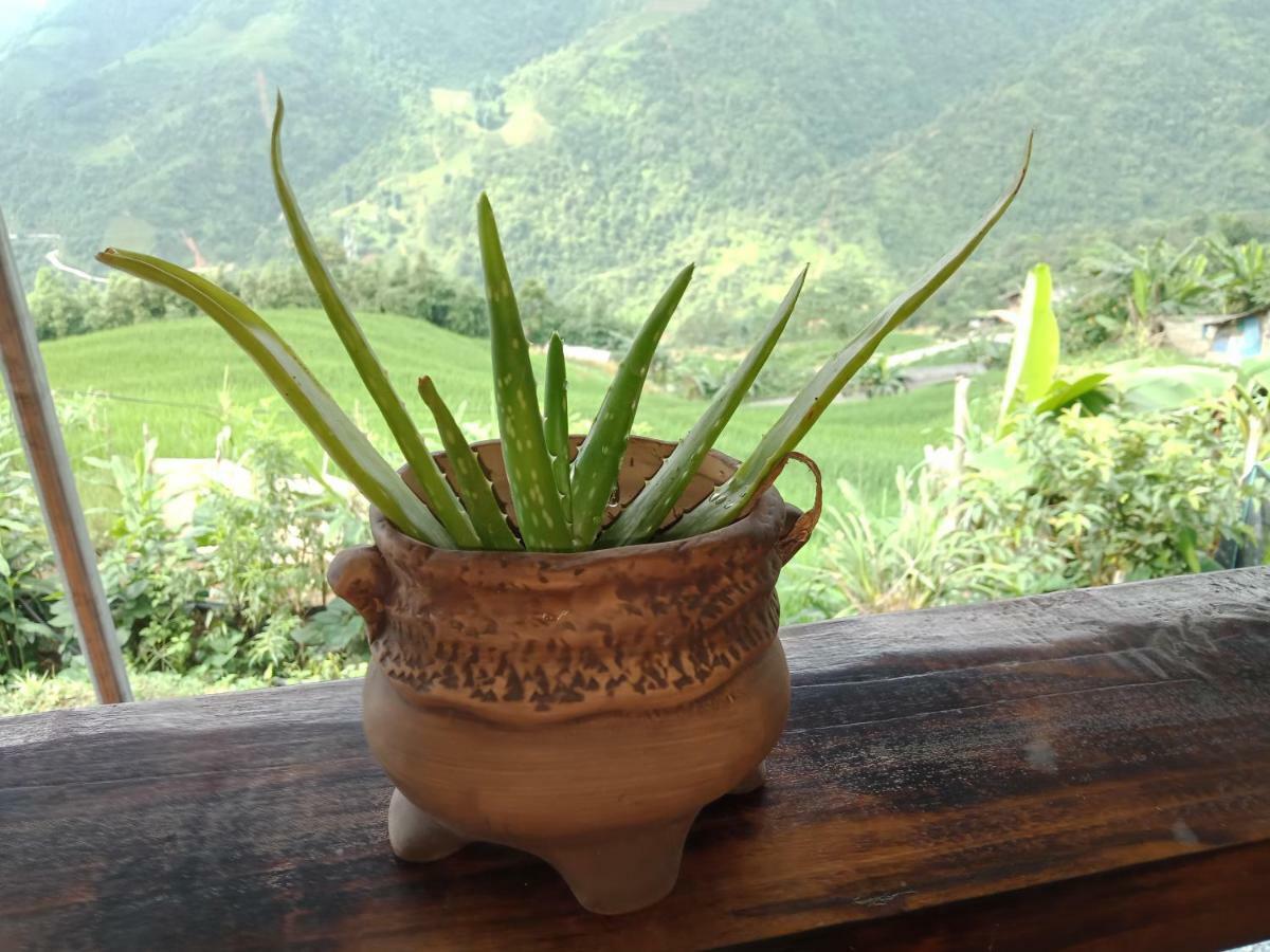My'S Homestay Sapa Exterior foto